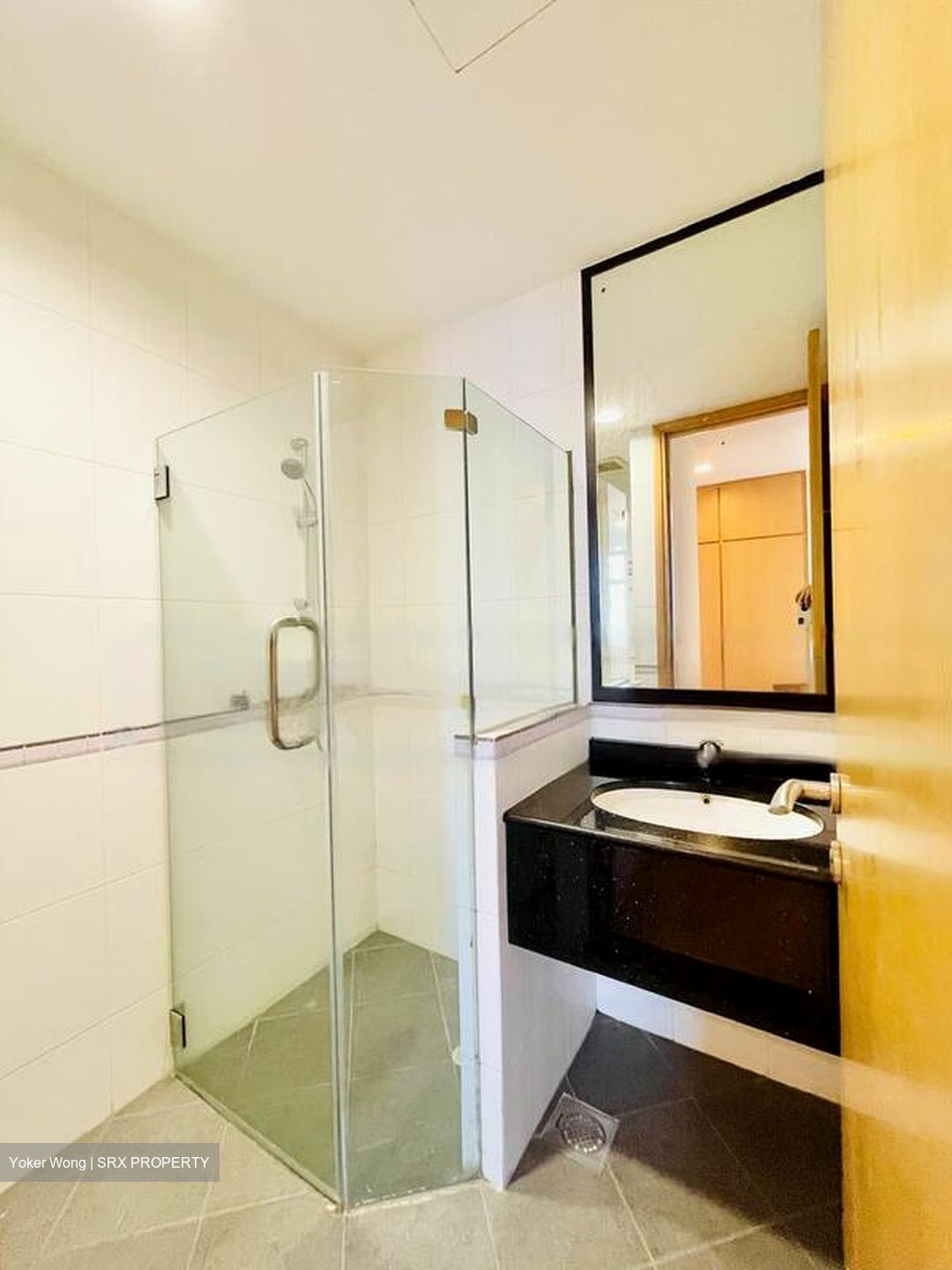 Holland Mansion (D10), Condominium #468529301
